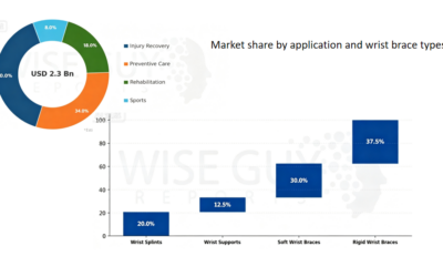 Wrist Brace Market Trend 2026-2035: Is It Worthy To Lanch A Business